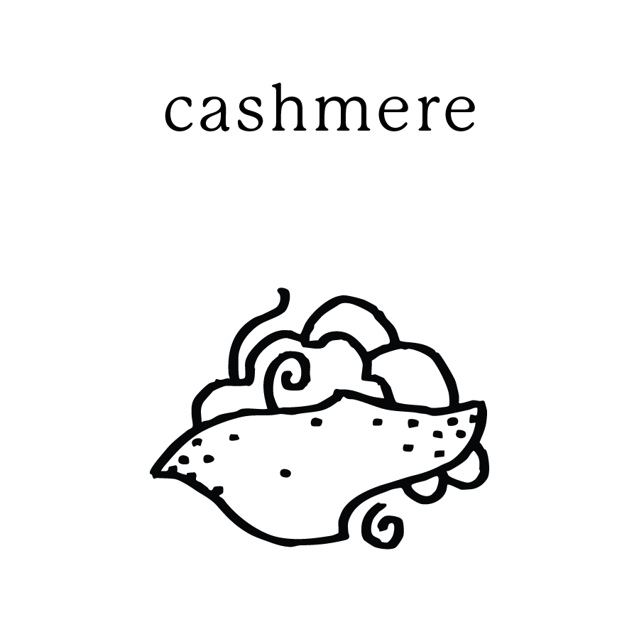 cashmere