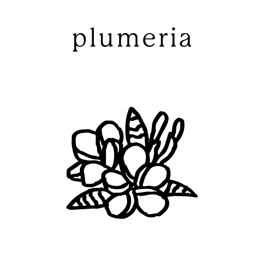 plumeria