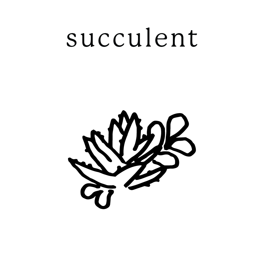 succulent