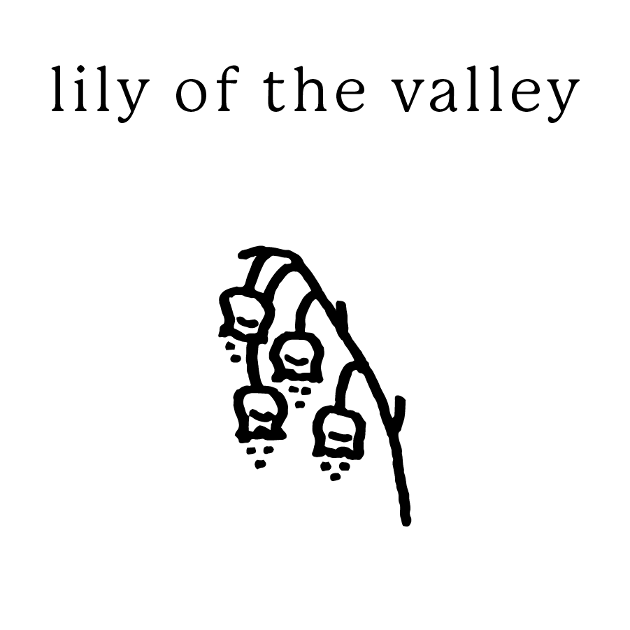 lily of the valley