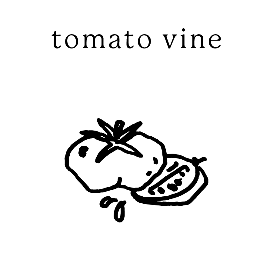 tomato vine
