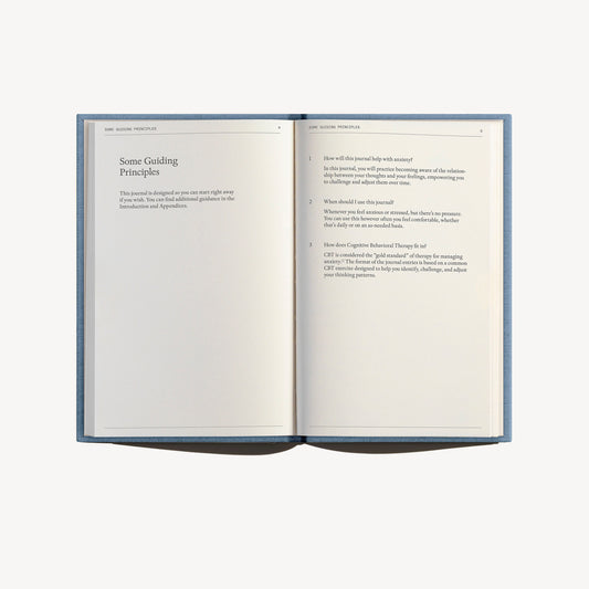 the anti-anxiety notebook - therapy notebooks