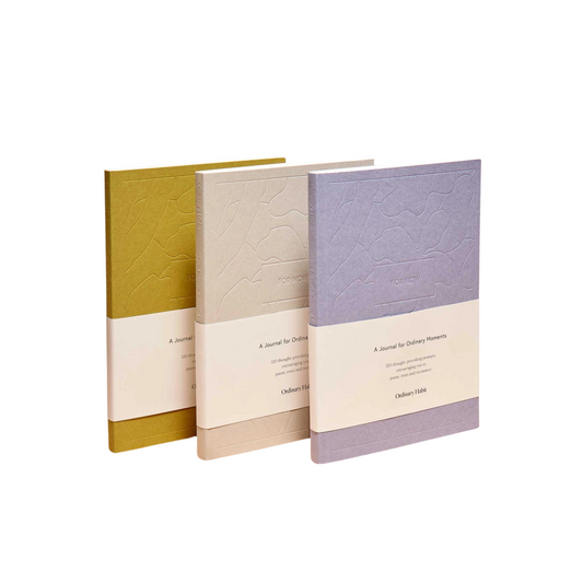 a journal for ordinary moments