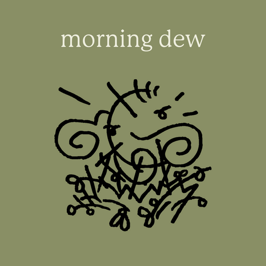 morning dew candle