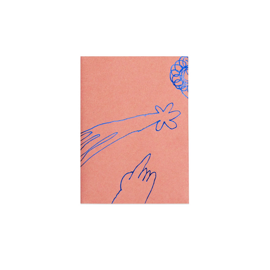 little passing thoughts book