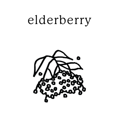 elderberry