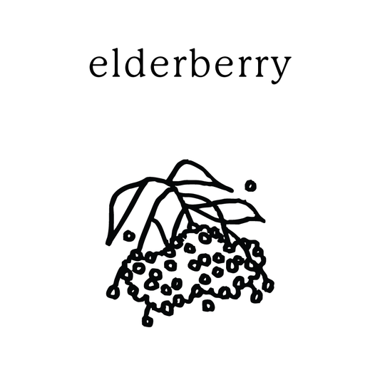 elderberry