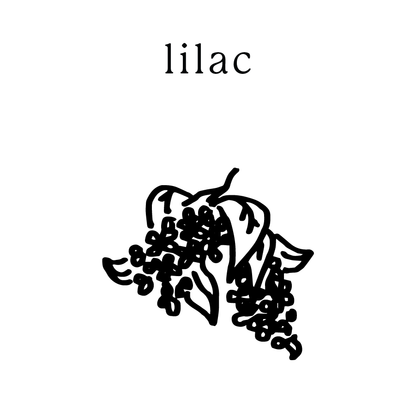 lilac