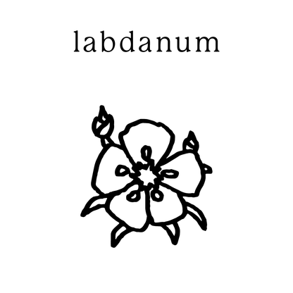labdanum