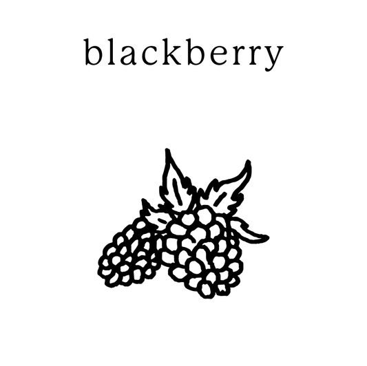 Blackberry Mundane New York non-toxic soy candle — handmade in Cold Spring, NY