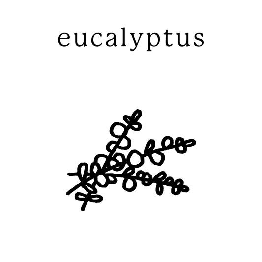 Eucalyptus Mundane New York non-toxic soy candle — handmade in Cold Spring, NY
