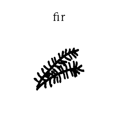 Fir Mundane New York non-toxic soy candle — handmade in Cold Spring, NY
