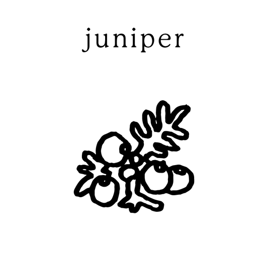 Juniper Mundane New York non-toxic soy candle — handmade in Cold Spring, NY