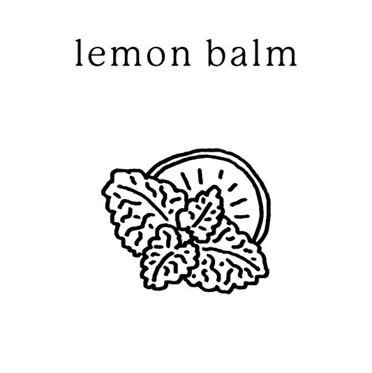 Lemon Balm Mundane New York non-toxic soy candle — handmade in Cold Spring, NY