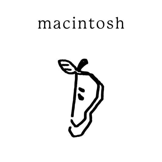 Macintosh Mundane New York non-toxic soy candle — handmade in Cold Spring, NY