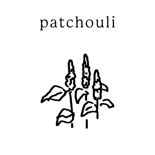 Patchouli Mundane New York non-toxic soy candle — handmade in Cold Spring, NY
