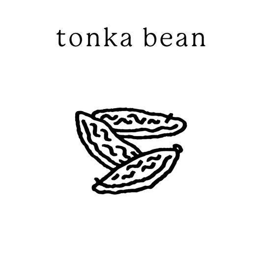Tonka Bean Mundane New York non-toxic soy candle — handmade in Cold Spring, NY