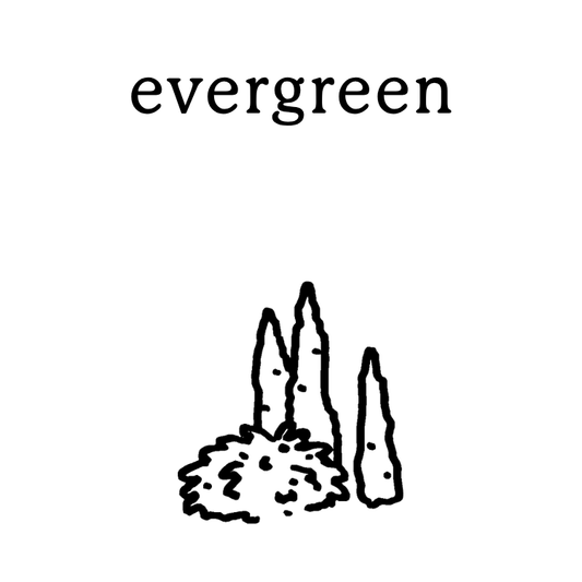 evergreen